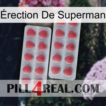 Érection De Superman 19